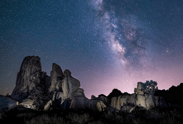 Ready to Join the Team?