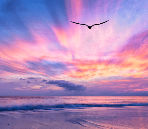 FinOps Implementation and Training