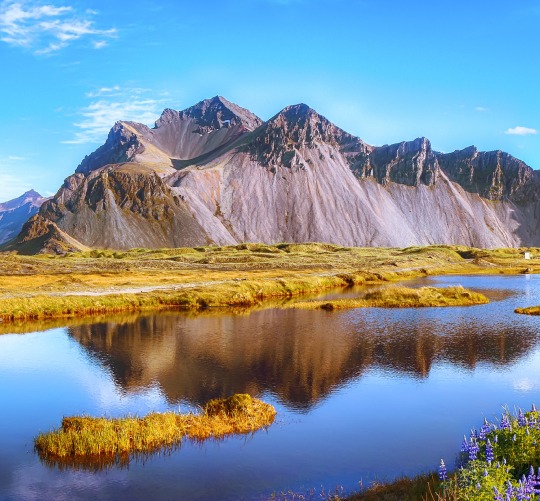 Build Secure Software from the Ground Up