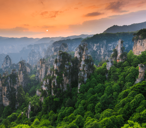 Access to Specialized Services