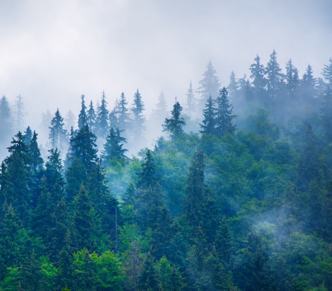 Cybersecurity Managed Services