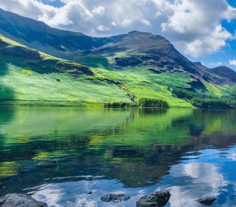 Managed Endpoint Protection and Threat Hunting