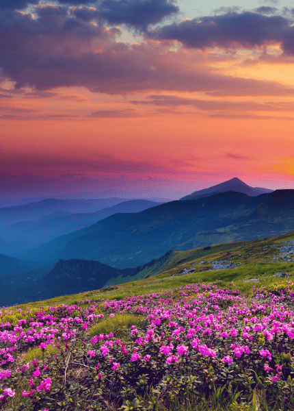 IT Audit and Compliance