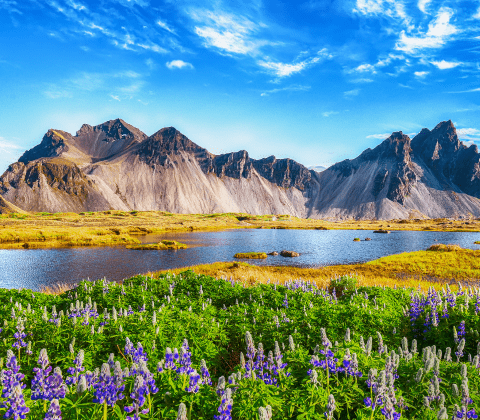 Enterprise Infrastructure Architecture, Implementation, and Management