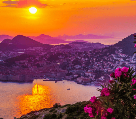 Cybersecurity Monitoring and Management