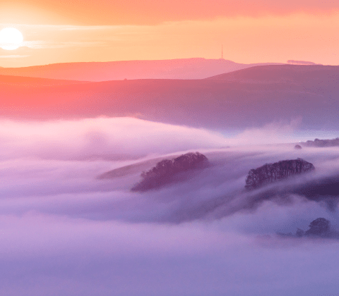 Virtual Information Security Officer (vISO) Services