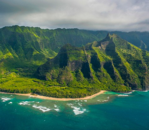 Proactive Identification