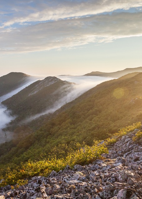 Identity and Access Management